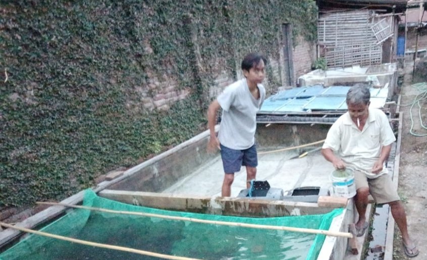 SusantoBambs's tweet photo. Senin, 02/9/24, Bambang Dwi S Luhkan Nganjuk laporkan panen benih ikan lele di P. Siswono (Pokdakan Karya Mandiri) Ds Sambiroto-Baron, kolam beton sederhana, jumlah 20rb ekor, hrg Rp.70/ekor 
#GiatLuhkanSatminkalBWI
#Nganjuk
#panen
@bppsdm_bp3bwi 
@pusluh_bppsdm 
@bppsdm_kp https://t.co/zxg7zEk9Sb