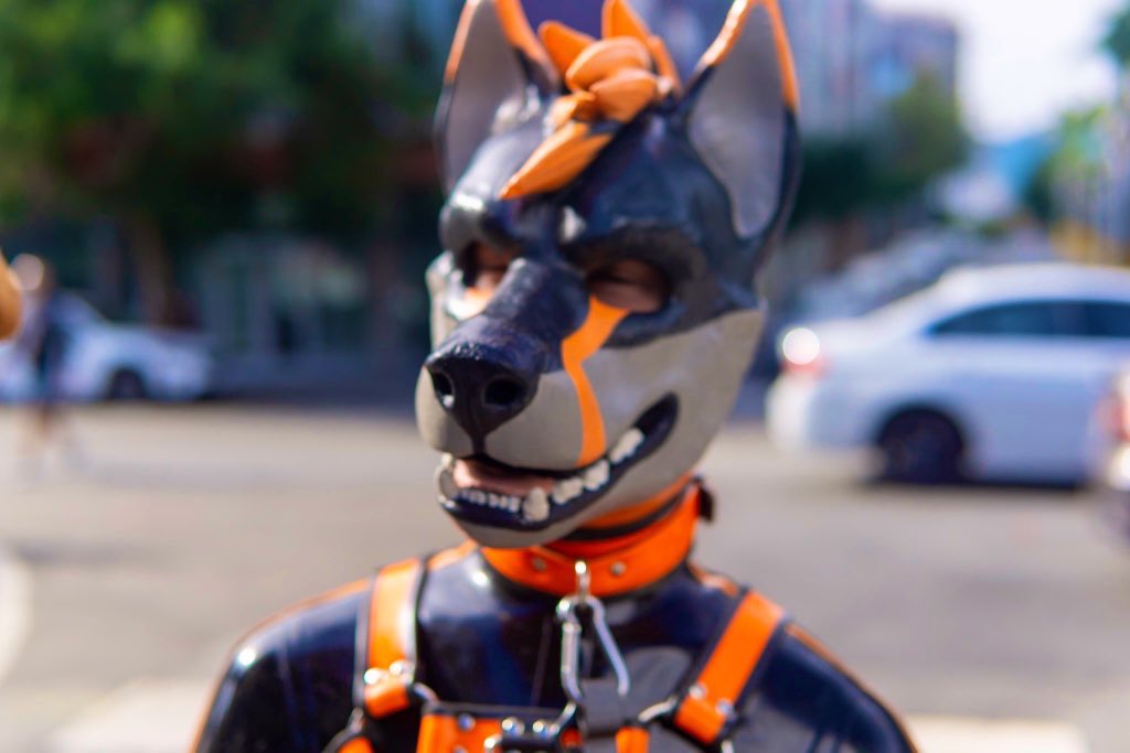 Basking in ✨rubber bliss✨ 

📸: <a href="/Sikarets/">Sika</a>