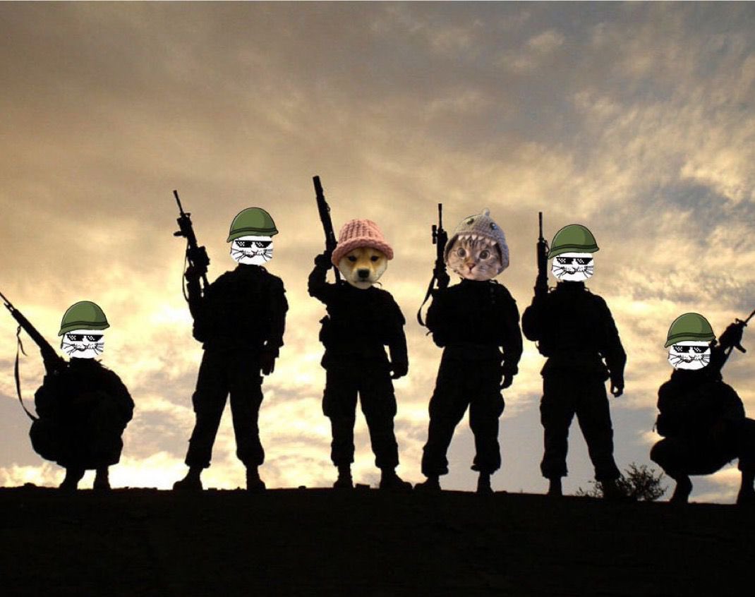ElioWIF's tweet photo. @beeple It’s UPTOBER and the $CTM army is ready to go to war against the bears 

@CatManOnSol1 don’t play around https://t.co/dtKGIJuYnv