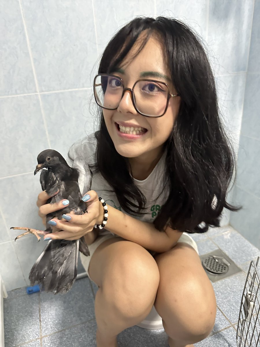 Can anyone teach me how to care for a pigeon that cannot fly and has lots of lice?