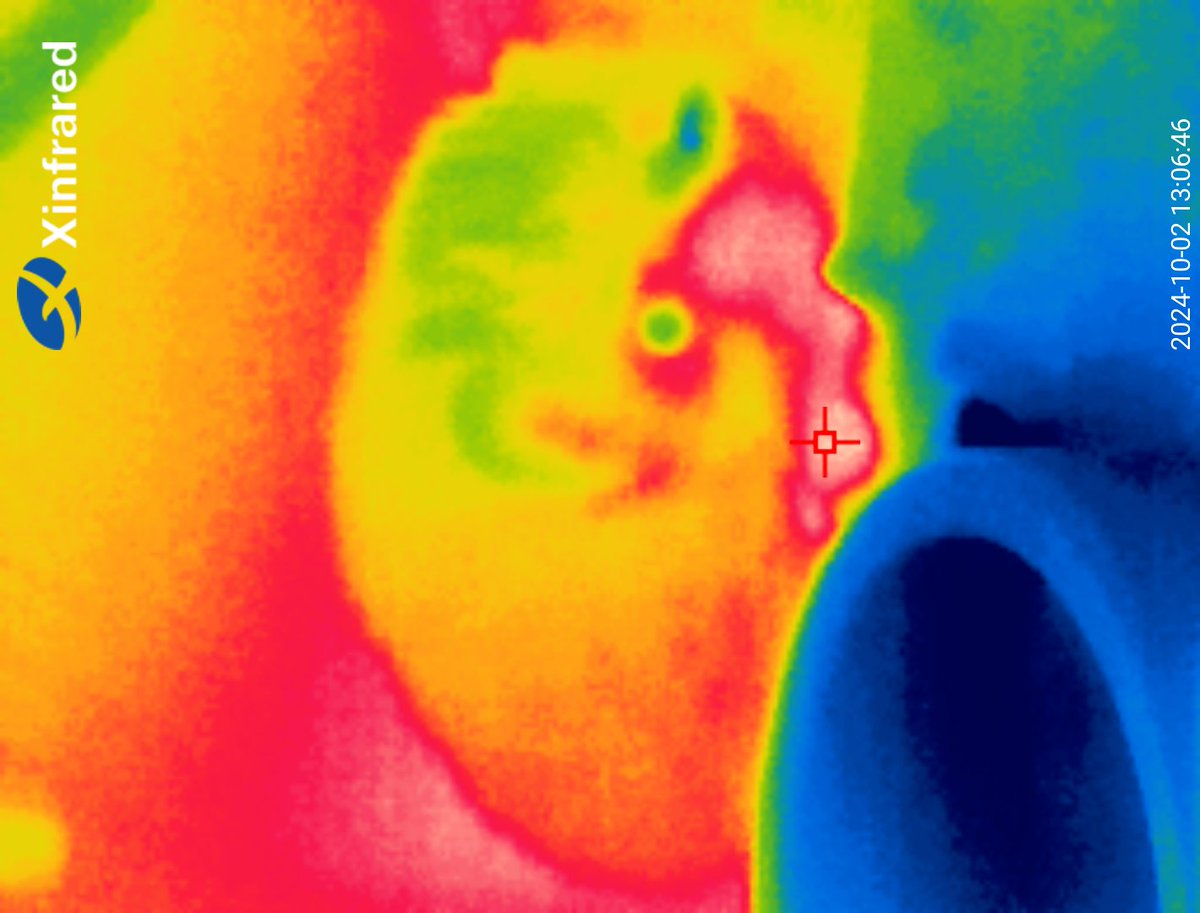 table1129's tweet image. xinfrared T2 Pro届いたー
ハリネズミのサーモグラフィー
#InfiRay #サーマルカメラ