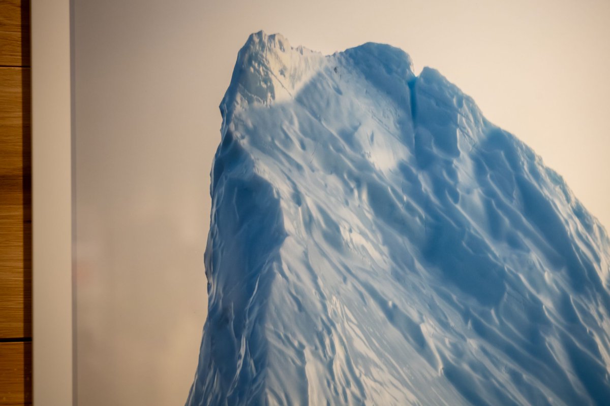 Snap! Orlando tweet media