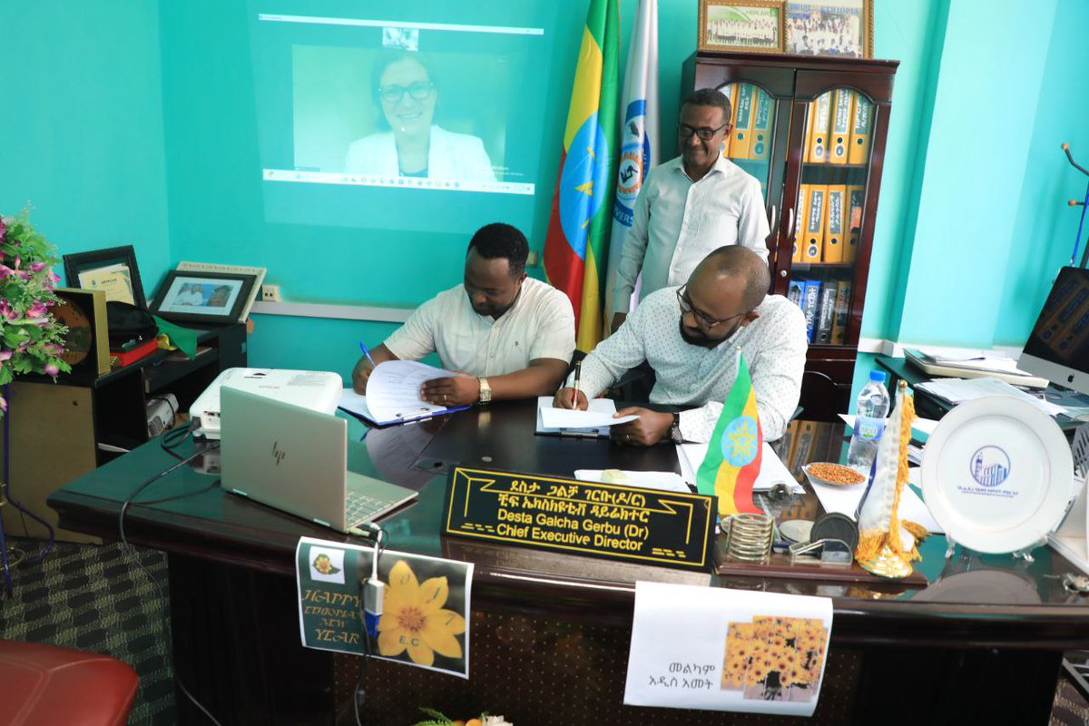Collaboration is at the heart of what we do! It was great to signify the start of the TADORE study in Ethiopia with a signing ceremony between Menzies and key collaborators from <a href="/ArbaMinch_Univ/">Arba Minch University</a> and Arba Minch General Hospital. 
<a href="/KThriemer/">Kamala Thriemer</a> <a href="/drtamshib1/">Dr.Tamiru  Shibiru</a>