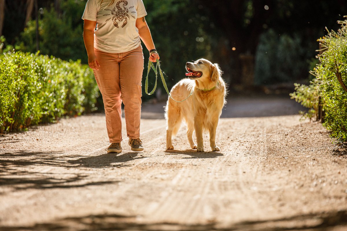 Boyce Thompson Arboretum tweet media