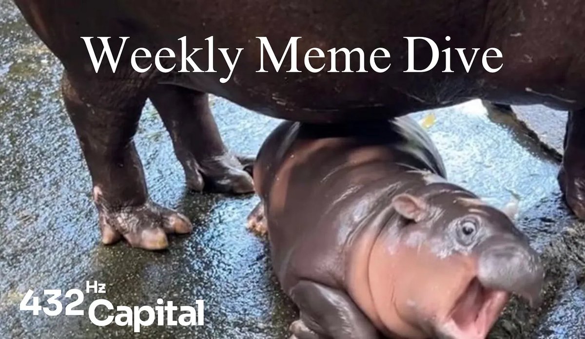 Here's the necessary information before engaging in this fast-moving memecoin market.

This report aims to provide valuable insights through on-chain data, the following standard criteria should be considered when scanning through thousands of projects.

Learn more on our