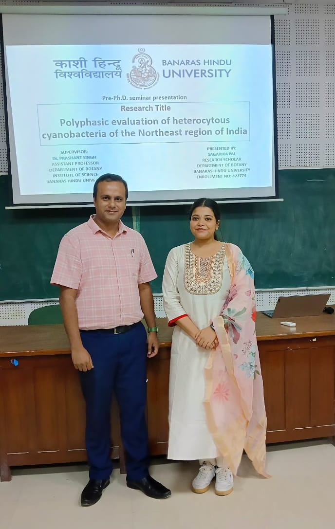 Prashant Singh (@prashantcyano) on Twitter photo Wonderful presentation and superb defense <a href="/SagarikaPal9/">Dr. Sagarika Pal</a>. As a mentor it was a proud moment for me to see you delivering the excellent Pre-PhD Seminar. I hope that our story of the #cyanobacteria from #NorthEast will inspire more students to explore and discover <a href="/cyanotaxonomy/">Lab of Cyanobacterial Systematics & Stress Biology</a> Wonderful presentation and superb defense <a href="/SagarikaPal9/">Dr. Sagarika Pal</a>. As a mentor it was a proud moment for me to see you delivering the excellent Pre-PhD Seminar. I hope that our story of the #cyanobacteria from #NorthEast will inspire more students to explore and discover <a href="/cyanotaxonomy/">Lab of Cyanobacterial Systematics & Stress Biology</a>