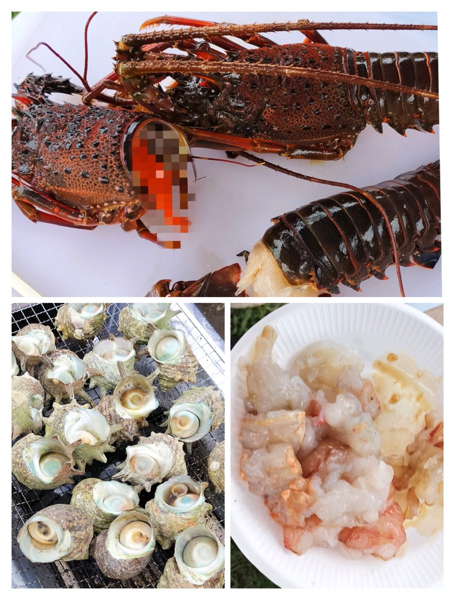 天気が良いので
伊勢海老さばいて🦐
名前の分からない貝の浜焼き🐚食ってます

酔っ払ってて味わからないけど
盤面だけで美味い気がします