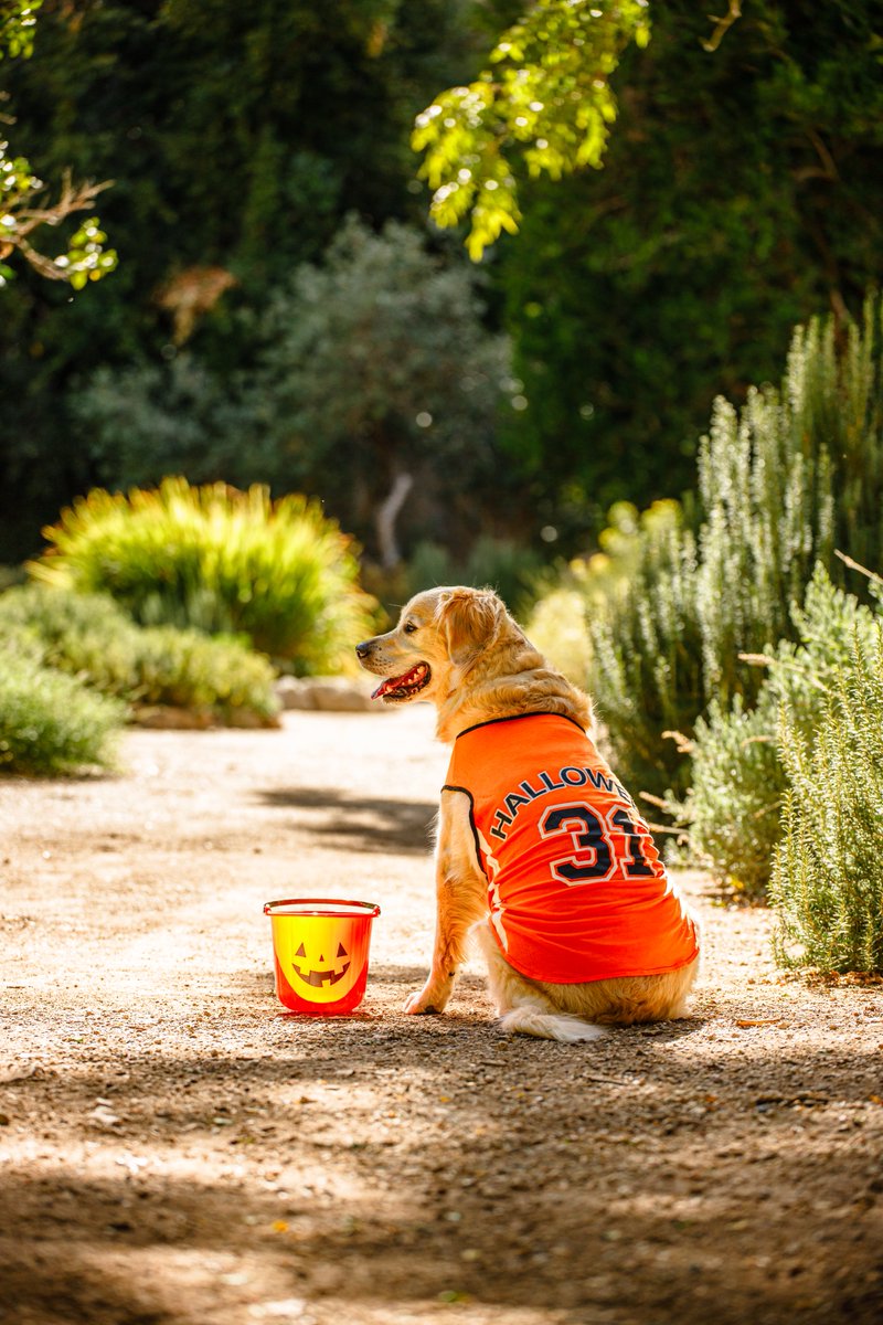 Boyce Thompson Arboretum tweet media