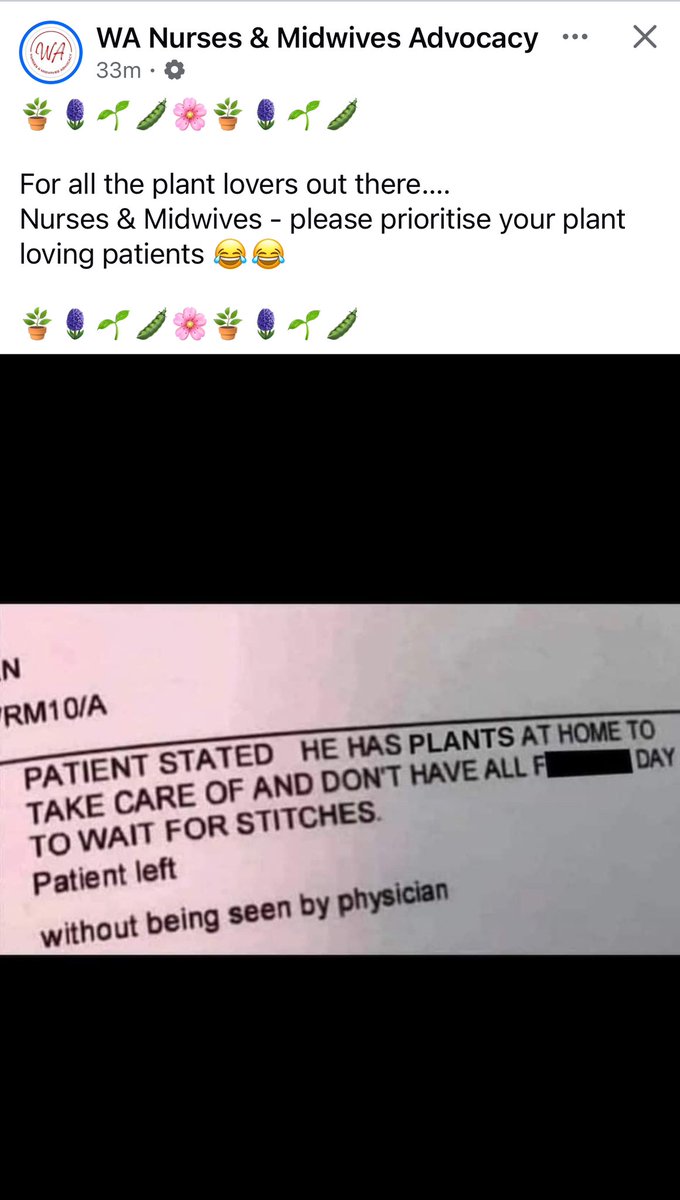 Shannon🐇 (@hvact3ch) on Twitter photo 