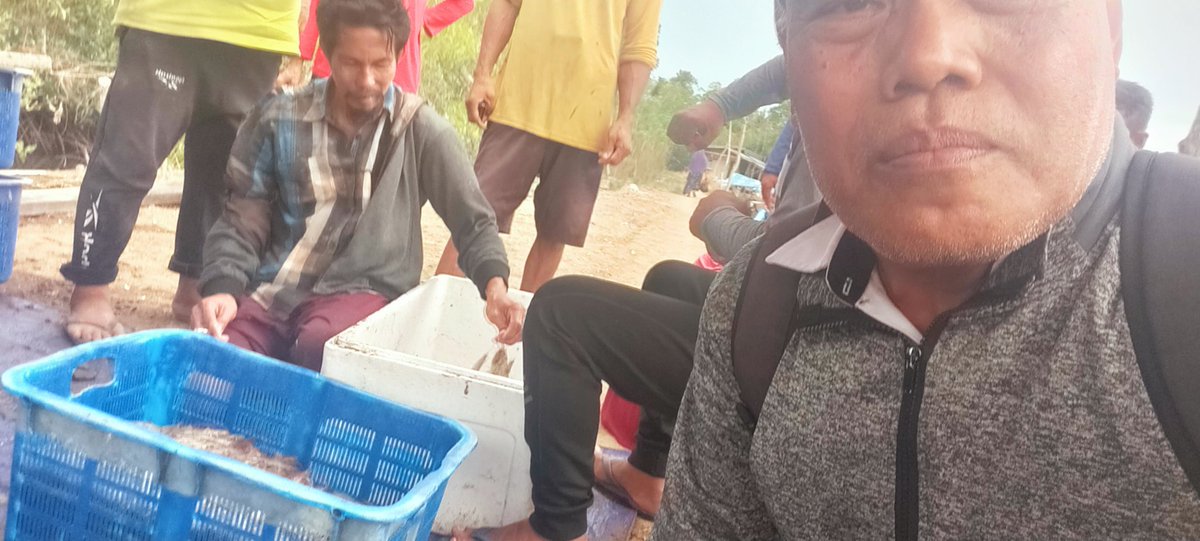 Rokit_66's tweet photo. Selasa (20/08/2024) ROKIT SP Luhkan Kab Sinjai mendampingi panen parsial udang vaname di Desa Panaikang Kec Sinjai Timur An H. Amir Tjoddong, produksi 120 Kg zise 85 ekor/Kg harga Rp 52.500/kg
#GiatLuhkanSatminkalMaros
#Panen
#Luhlapor https://t.co/k8DPgnDI1I