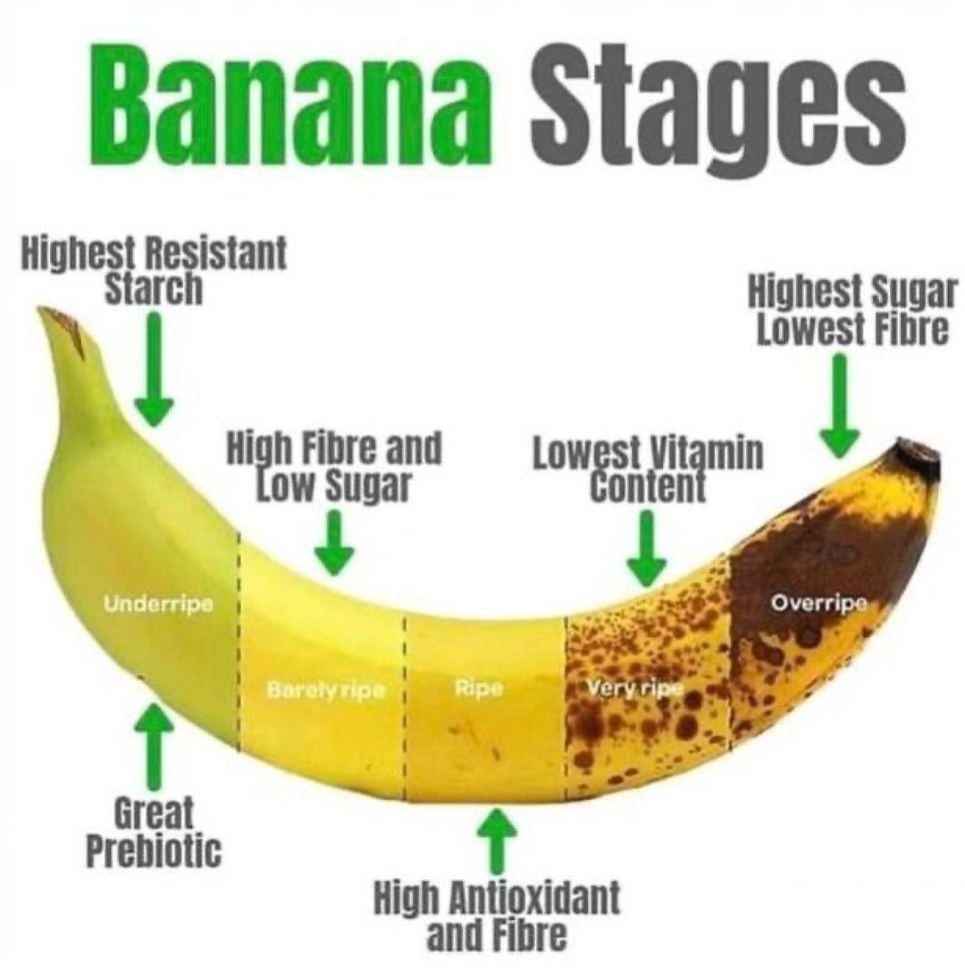 🍌Bananas are an interesting fruit because their nutritional profile changes as they ripen. When bananas are unripe (green), they contain higher amounts of resistant starch. Resistant starch is a type of carbohydrate that the body doesn’t digest easily, which means it passes