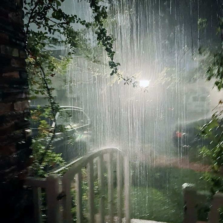 emily2williams2's tweet photo. #RainyPark #NatureInTheRain #SereneScenery #PeacefulRain #MistyMornings #RainyDayVibes #CalmNature #Petrichor #RainyWalks #TranquilMoments https://t.co/xPgadlA7Nn