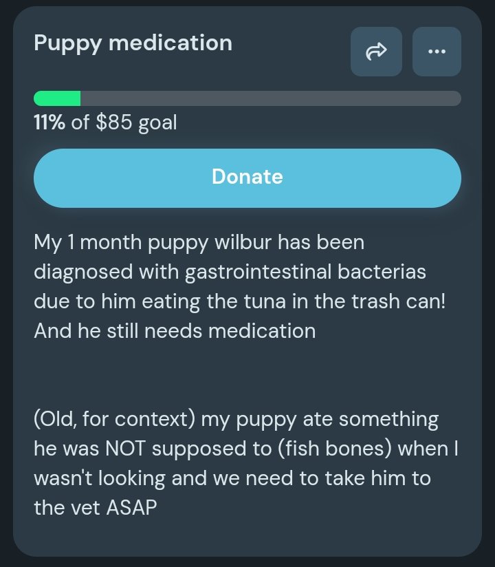 Luci ✨️ @ DnD Brainrot tweet media