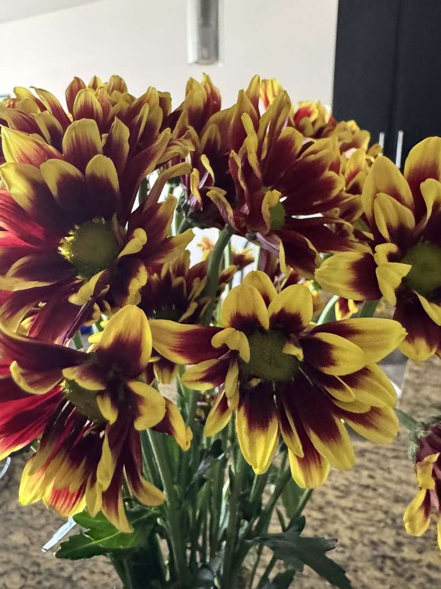 shortttstuff's tweet image. October will be great! 🍁 🍂 #hellooctober #hellofall