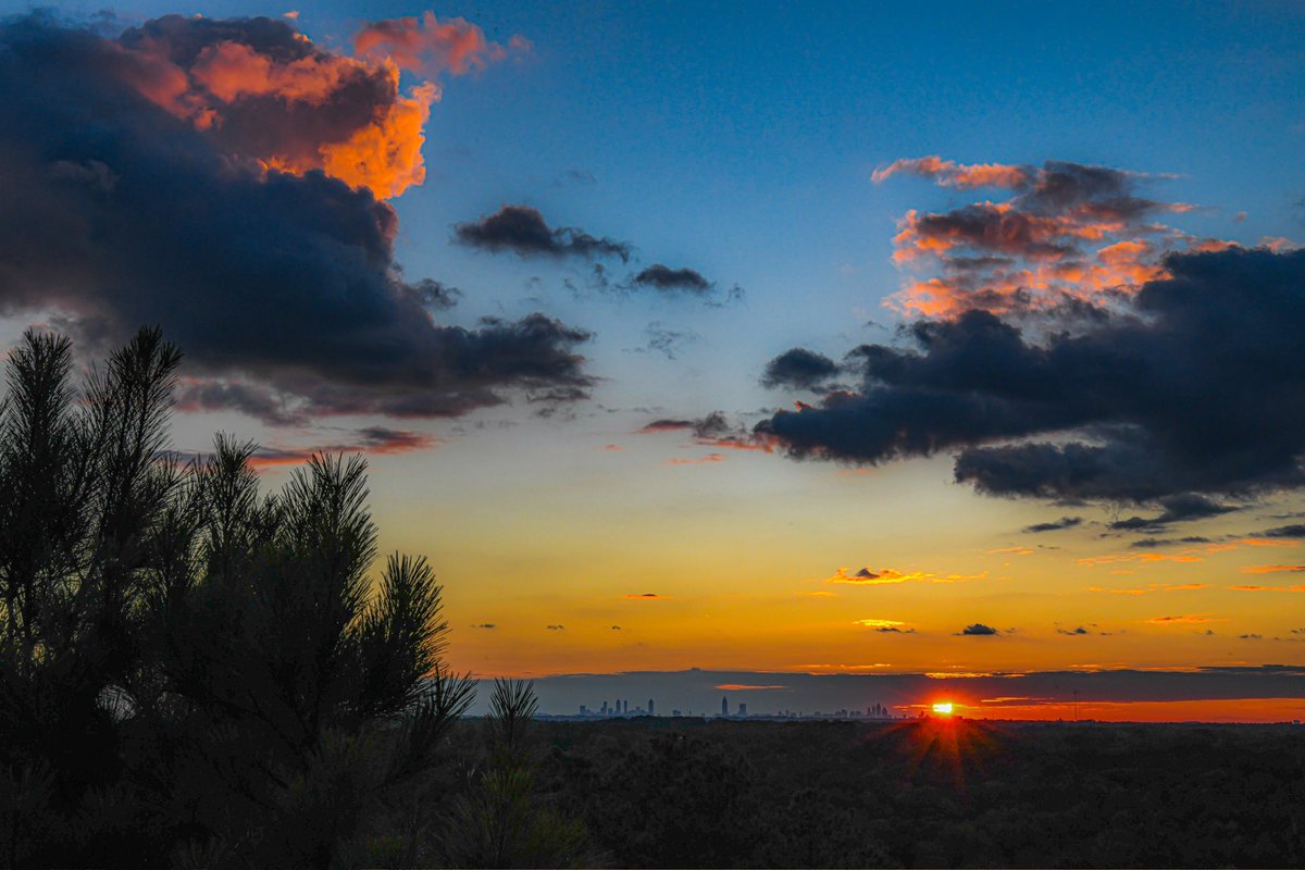 Cameron Lilly tweet media