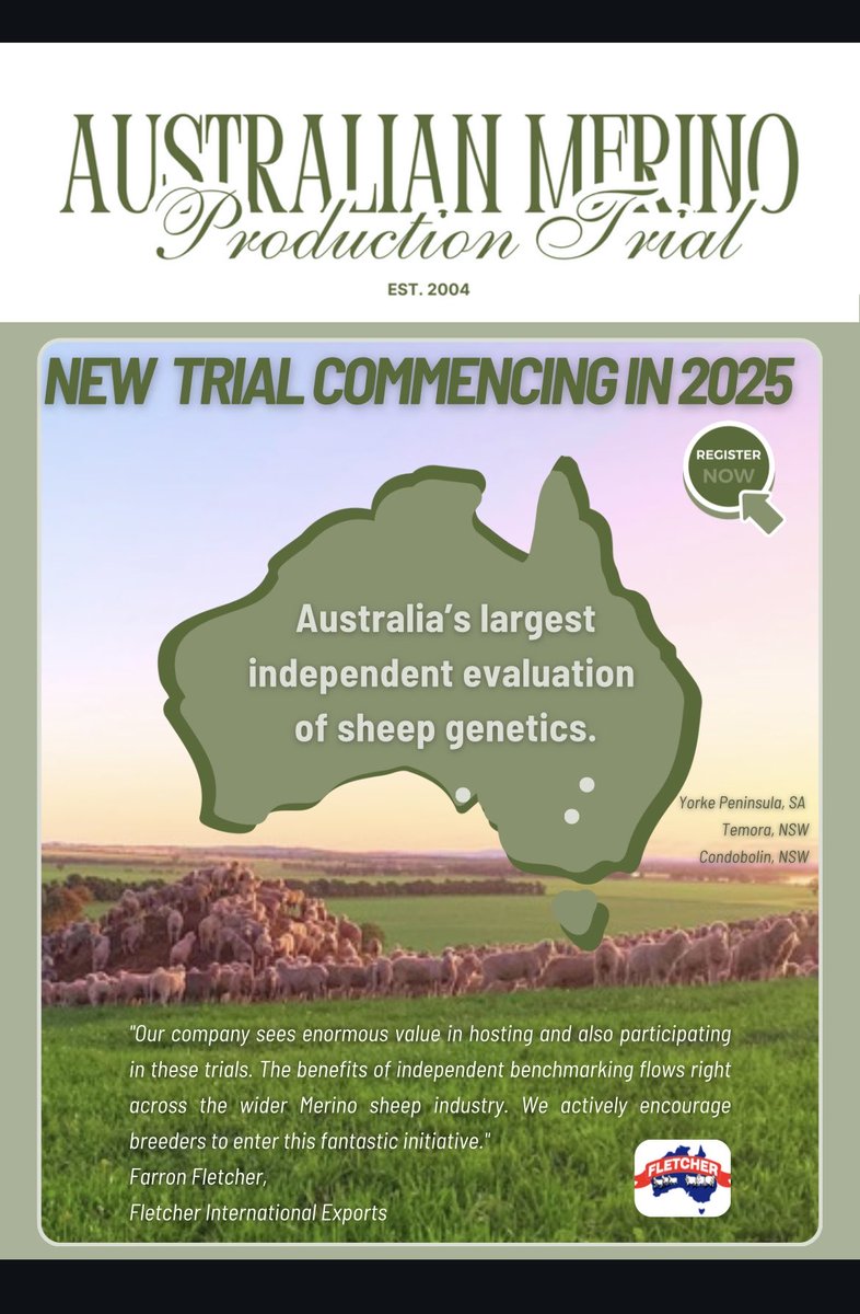 Australian Merino Production Trial 2025 to 2027 tweet media
