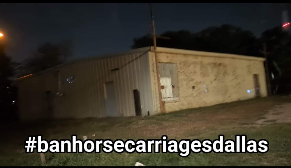 graquelcarbajal's tweet photo. .@paulablackmon @DallasMayor @Johnson4Dallas @JodieWiederkehr @ChiAnimalRights @Rev_philly @ridleyfordallas @CityofDallasD14 @wfaa @NBCDFW @CityofDallasD2 @CBS11 @_AnimalAdvocate @AmyRoseKathryn @CityOfDallas @CultureMapDAL @dallasobserver #HumaneTourism
#banhorsecarriagesdallas https://t.co/mN99HmXmdC