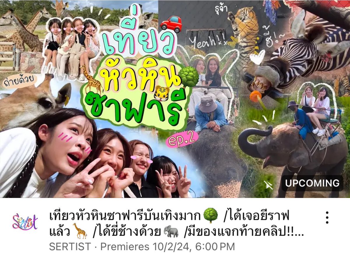 WKM_Za's tweet photo. วันนี้พส.เซอร์ติสพาเที่ยวหัวหินกันต่อ พาไปสวนสัตว์ขี่ช้าง เล่นกับเสือ สัมภาษณ์งานม้าลาย กินข้าวร่วมกับยีราฟ อย่าลืมมาดูกันนะพี่ๆ 

#Sertist_Channel
#KaewNatruja #NamneungMilinD
#PUPÉJiradapa #MOBYe https://t.co/JaPsqTiuJC