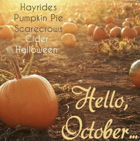 aka_Snowy's tweet photo. Its here…🍂🎃🍁 https://t.co/NJUxoe4feK