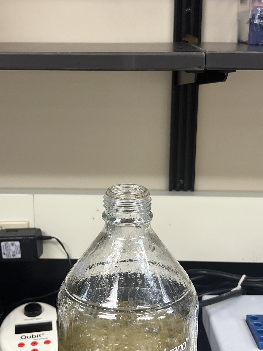 Sam Miller, Ph.D. tweet media