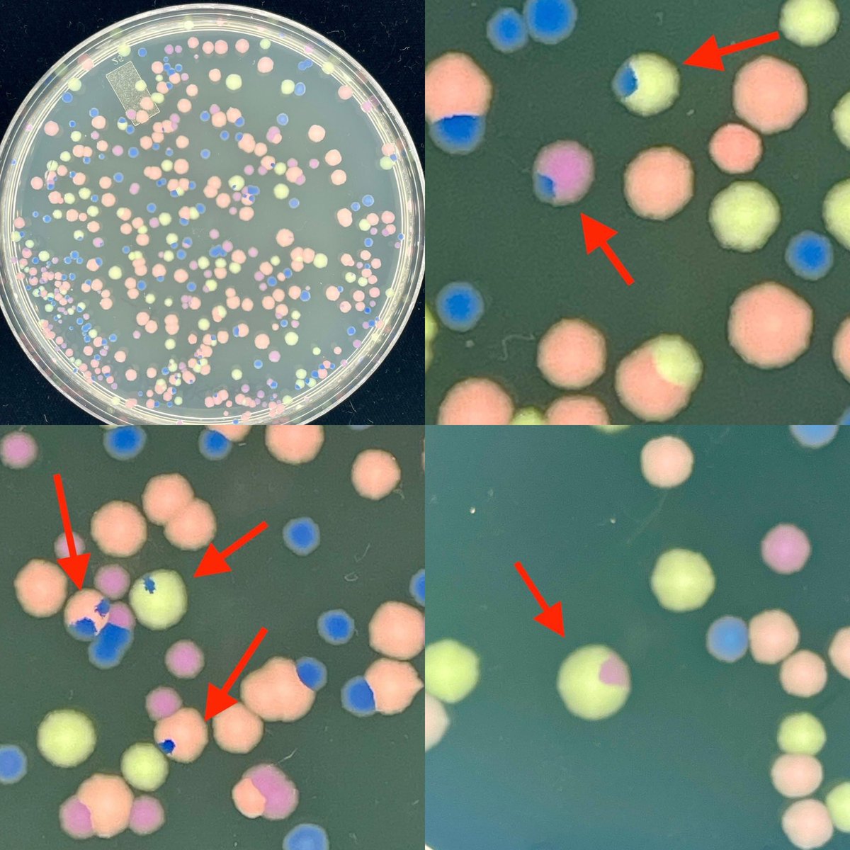 Mark O. Martin tweet media