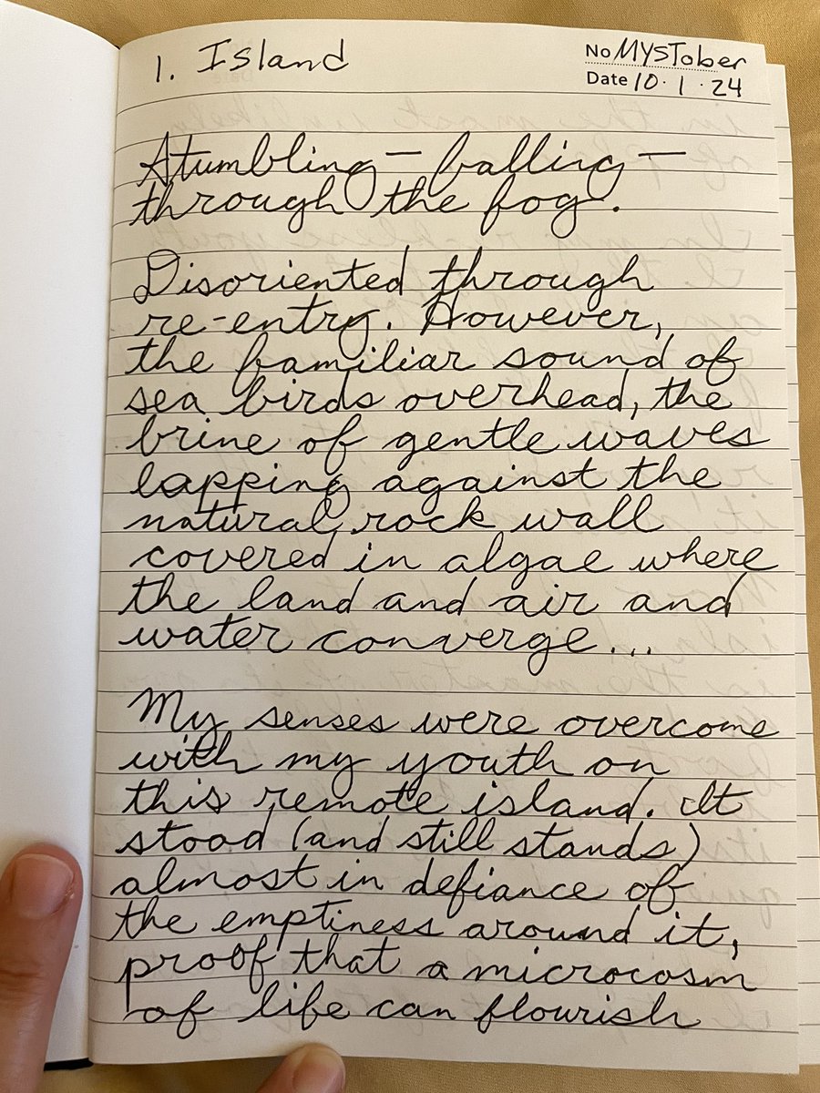 Lauren Hall-Stigerts @hallstigerts.bsky.social tweet media