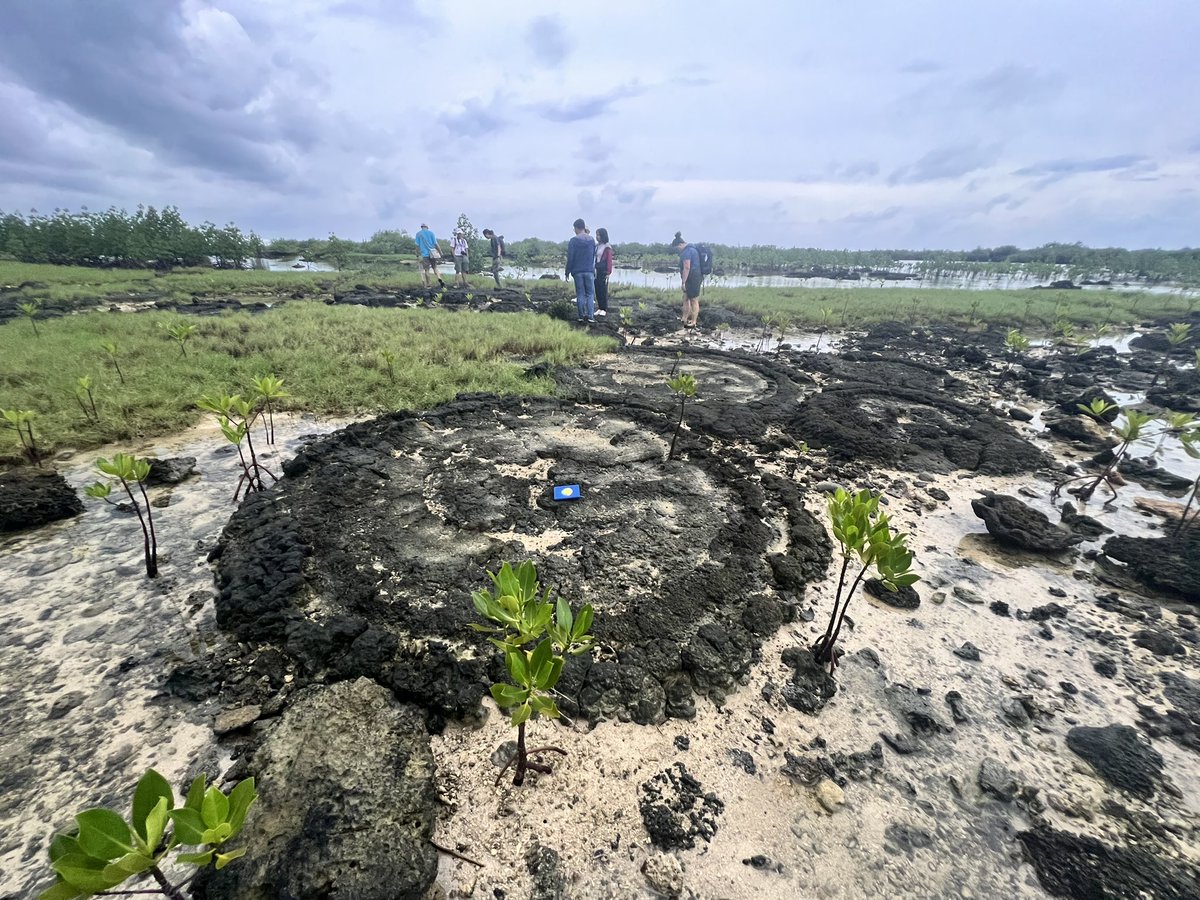 Hannah Spero tweet media