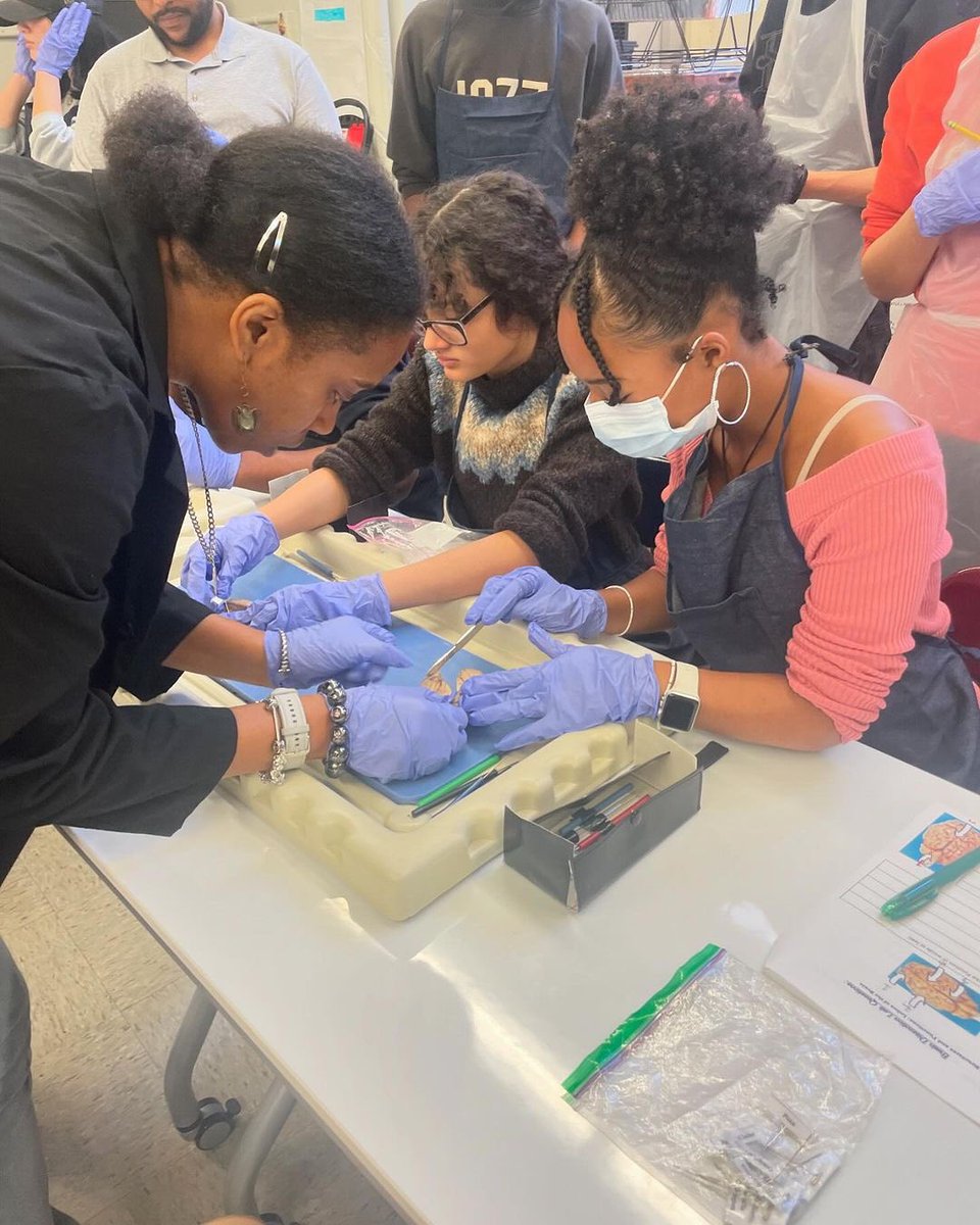 CIOBCitywide's tweet photo. It’s Brain Dissection Week in Neuroscience at #ForsythSatelliteAcademy! 🧠 Students are diving deep into hands-on learning with this fascinating exploration of the brain. Have you ever dissected one? 😬🔬 #Neuroscience #HandsOn #STEM #BrainDissection @NYCSchools @ruxdanika https://t.co/LNKMnnohkk
