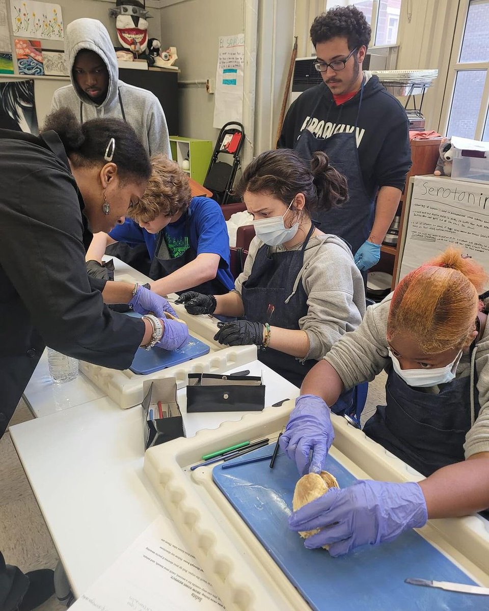 CIOBCitywide's tweet photo. It’s Brain Dissection Week in Neuroscience at #ForsythSatelliteAcademy! 🧠 Students are diving deep into hands-on learning with this fascinating exploration of the brain. Have you ever dissected one? 😬🔬 #Neuroscience #HandsOn #STEM #BrainDissection @NYCSchools @ruxdanika https://t.co/LNKMnnohkk