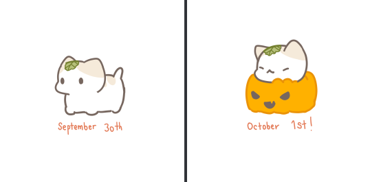 🐈‍⬛🎃