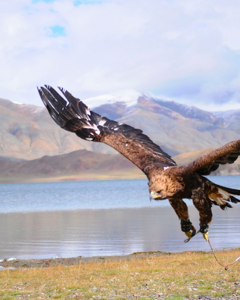 Geographic Expeditions tweet media