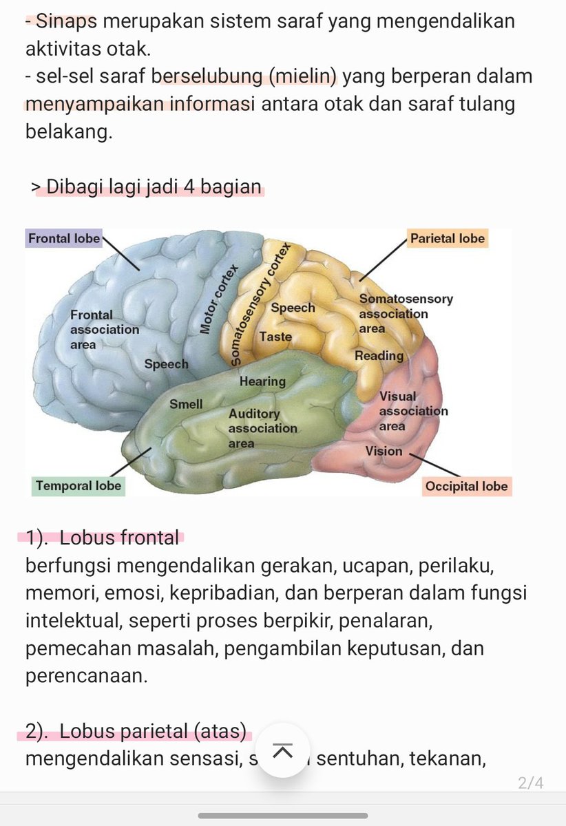 skyriekay's tweet photo. goodd morningg 🧘🏻‍♀️ https://t.co/EPlpSX1t0i