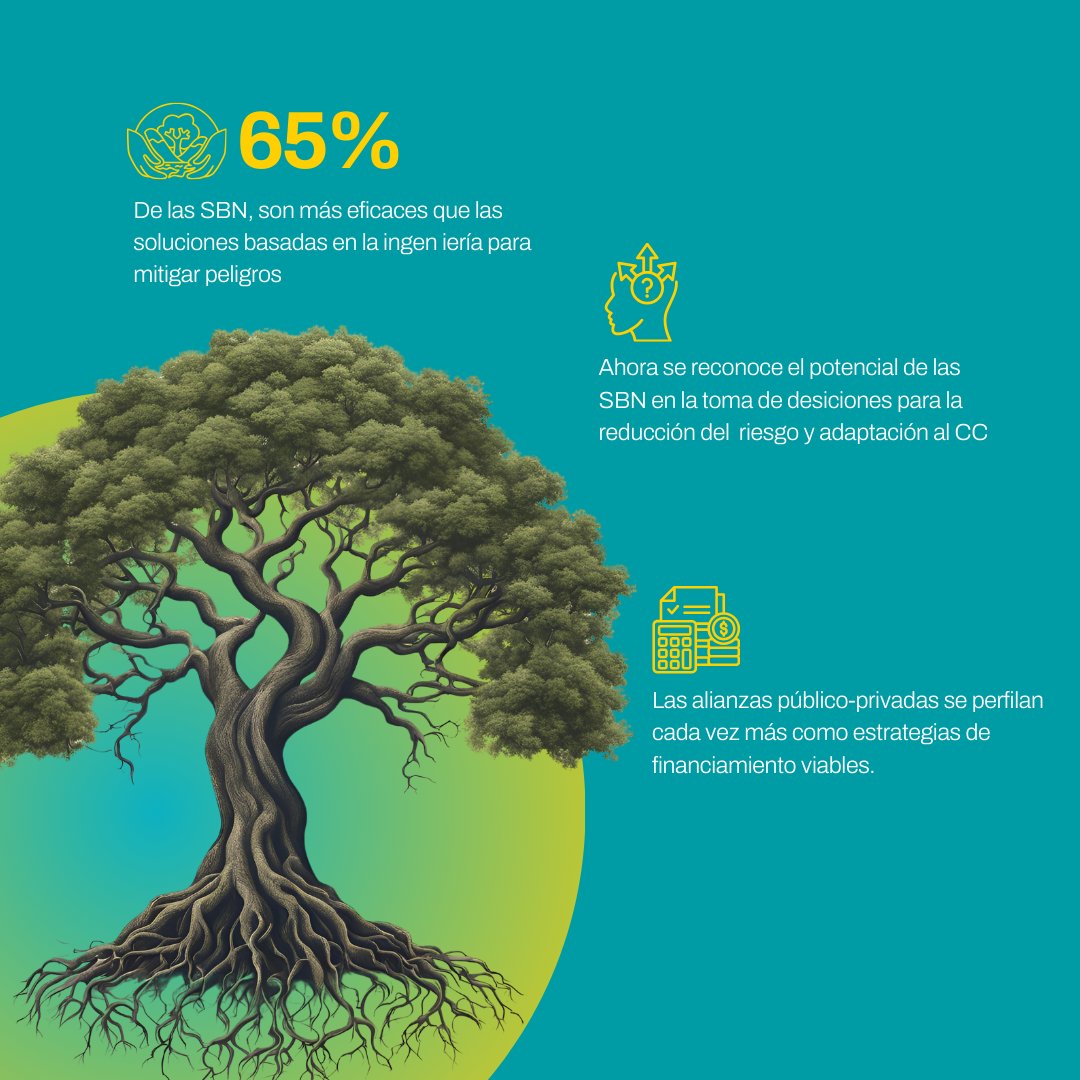 CMinds_co's tweet photo. 💡Una reciente evaluación global  por Marta Vicarelli de la Universidad de Massachusetts Amherst, ha revelado que las Soluciones Basadas en la Naturaleza son una estrategia efectivapara reducir los riesgos asociados a desastres naturales.

https://t.co/29sNfj6UpN https://t.co/NKJbvKj2M5