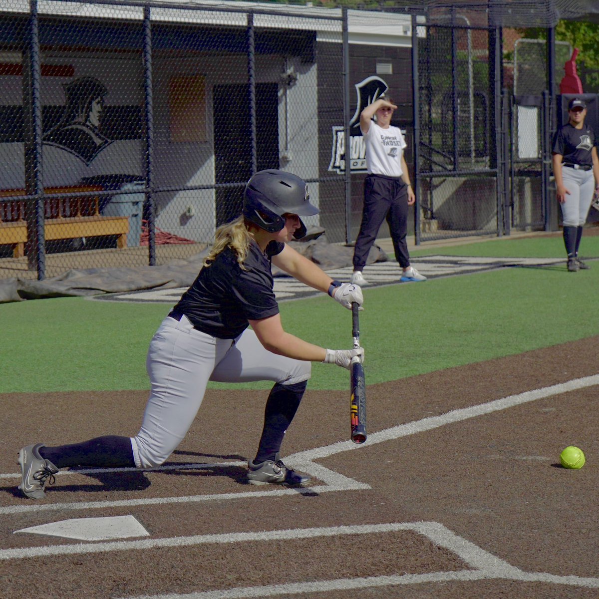 Providence Softball tweet media