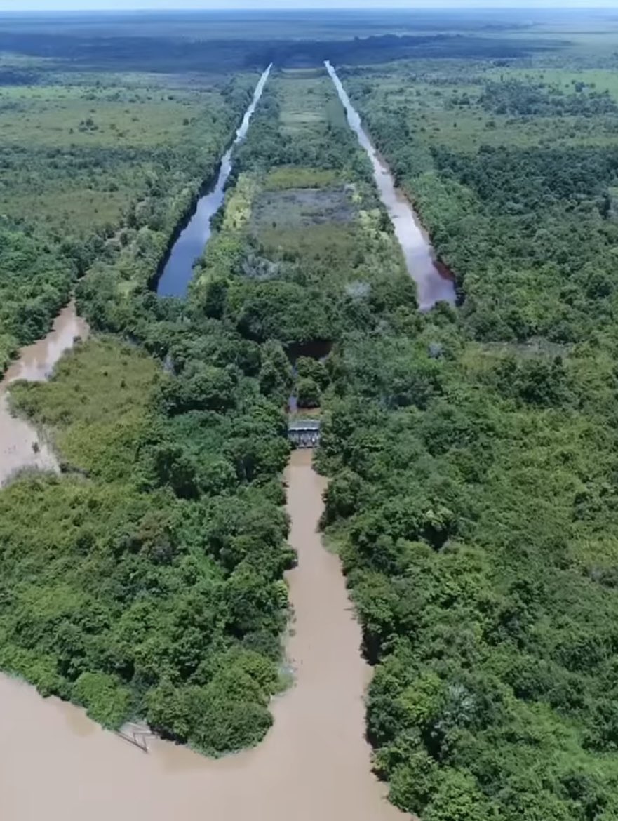 Dandhy_Laksono's tweet photo. Sistem irigasi sawah 1 juta Ha era Soeharto yang menghabisi hutan (1996) dan gagal. Food estate Kalteng ini diulangi Jokowi dan Prabowo (2021), gagal. 

SBY (2009) dan Jokowi (2015) bikin di Merauke, gagal. Kini diulang lagi (2024). 

Kalimantan                           Papua https://t.co/U5sdULrlY1