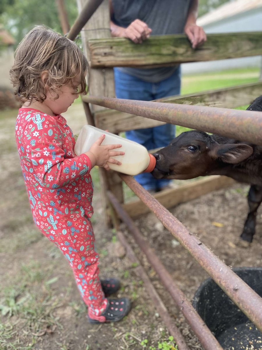 ebenkampfarms's tweet photo. Today was a good day. #EatBeef https://t.co/fEyiXBzt0H