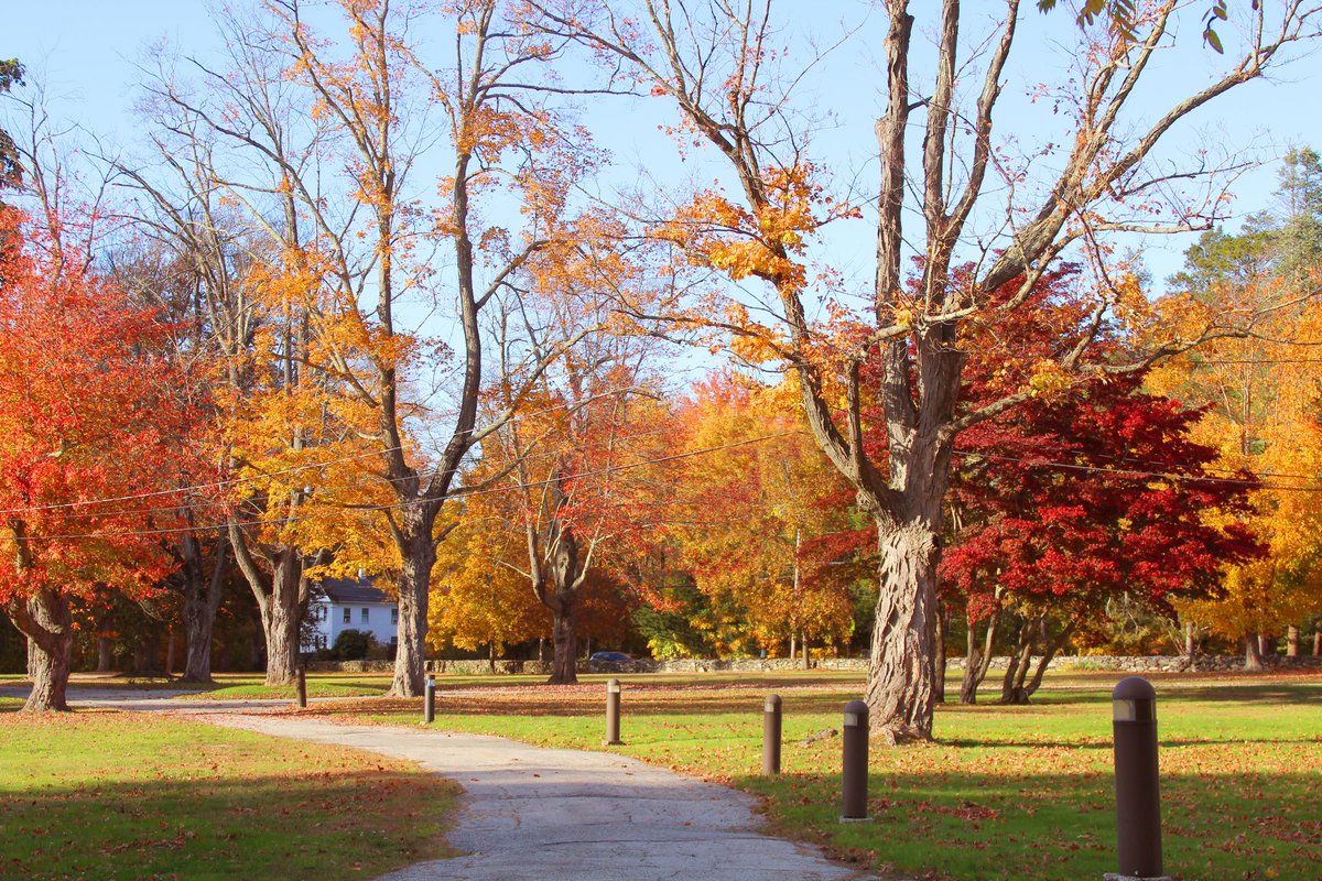 When it’s October 1 and you can’t wait for campus to look like this again so soon >>> 🍁😍 We love fall in the Quiet Corner! #october #fall #marianapolis #marianapolisprep #campus #goldenknights #thompsonct #quietcornerct #foliage