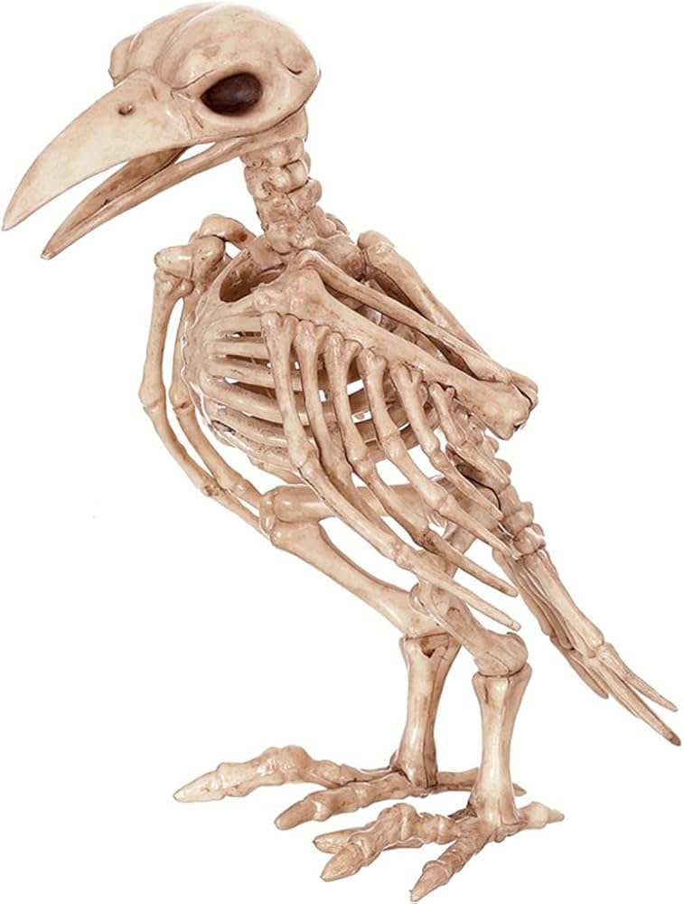 DailyCorvids's tweet photo. IT'S THE SPOOKY MONTH!

Quick, grab the Totally Accurate Crow Skeleton™! https://t.co/iyqDSSpzNl