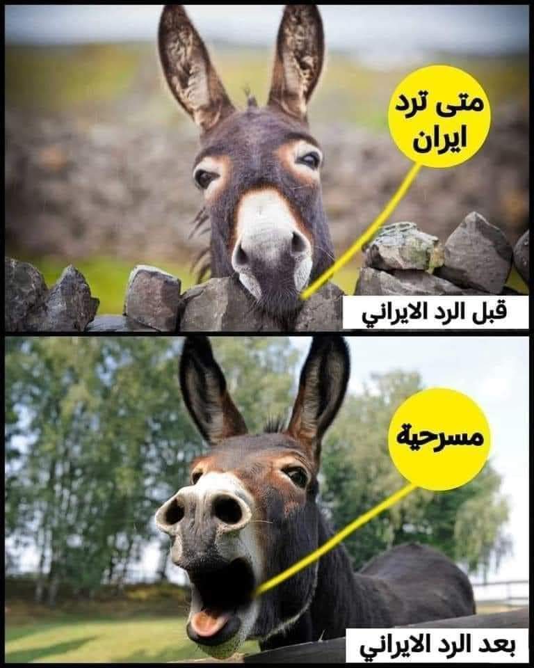 Mahmeeed85's tweet photo. @EdyCohen https://t.co/iDPDG0oafz