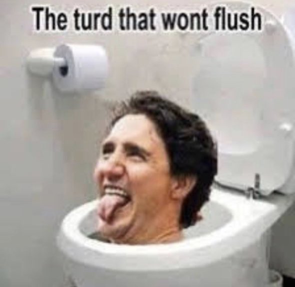 Gpahogiie's tweet photo. SoonโฆโITโ IS going DOWN!! #TrudeauWILLgo
#LiberalsWILLgo
NO #SellOutSingh
LIFE WILL GET BETTER!
#PierrePoilievreForPM https://t.co/oHzlkWYH4u