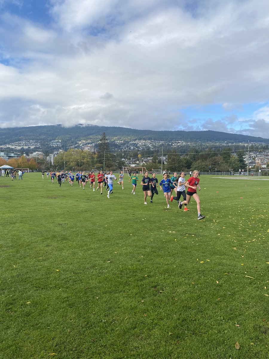 Emily Miller tweet media