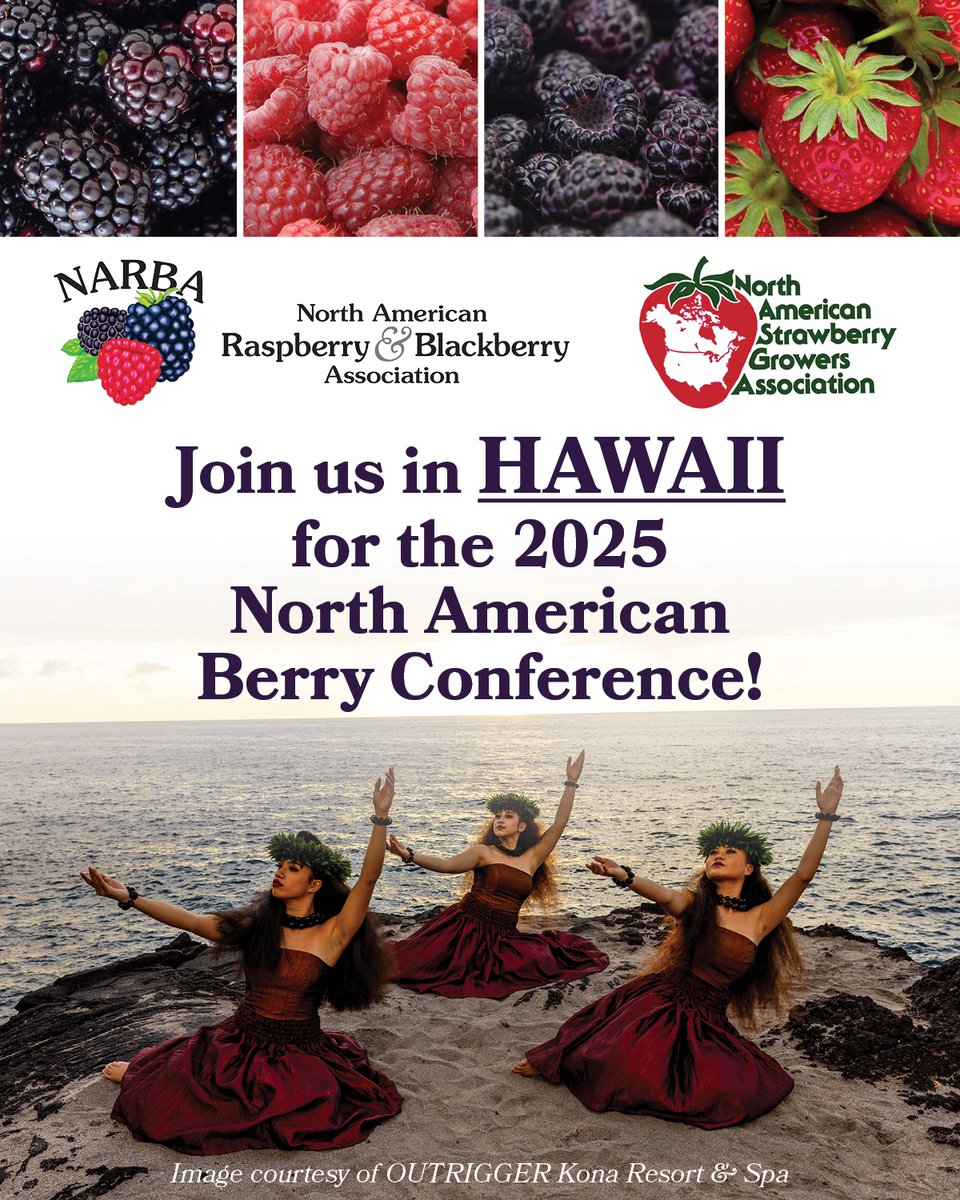 raspblackassoc's tweet photo. We are only 4 months away from the 2025 Conference, jointly presented by NARBA & NASGA. Register today to join us in Hawaii! **NEW** the resort is offering attendees a 20% discount on Feast & Fire Luau tickets. More details:
https://t.co/Ym464qHKRc
#narba #berrygrower #nasga https://t.co/NjPiHdjD0h