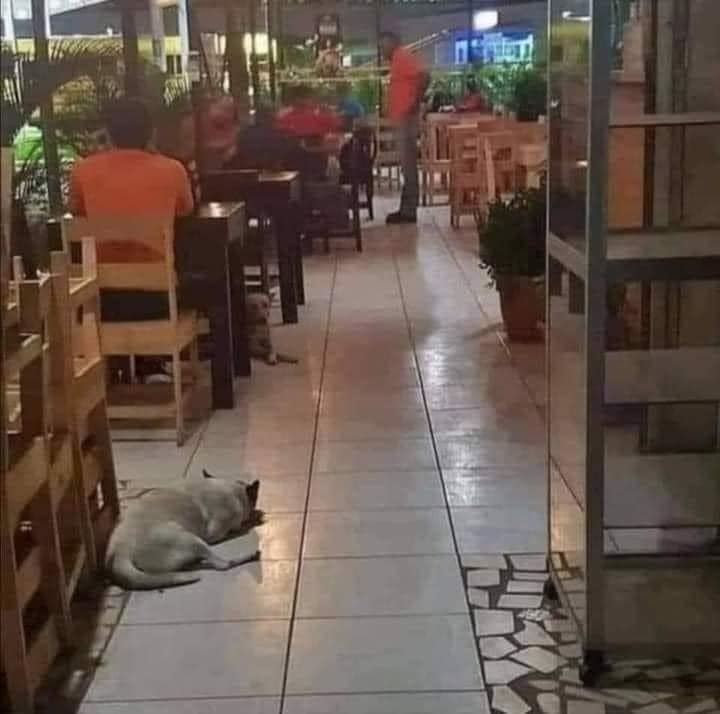 Pa Cas🤜🤛 tweet media