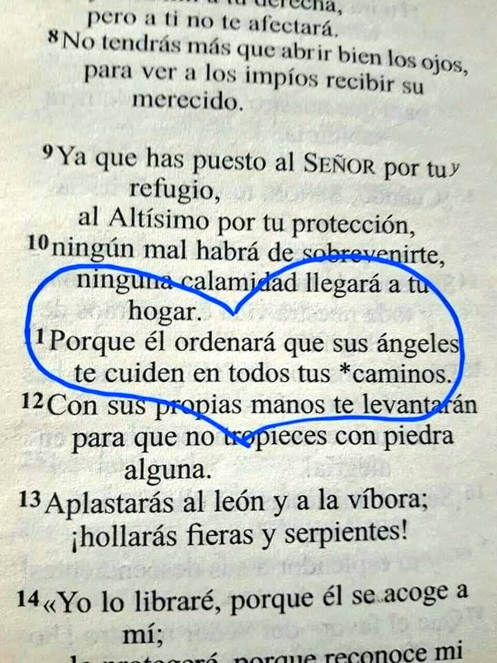 BibliaEnLinea® ⚓️ (@biblia_linea) on Twitter photo 