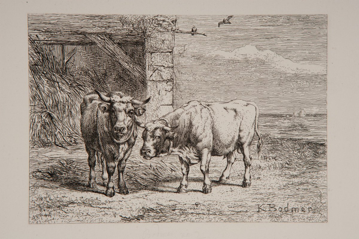 Bull and Cow harvardartmuseums.org/collections/ob…