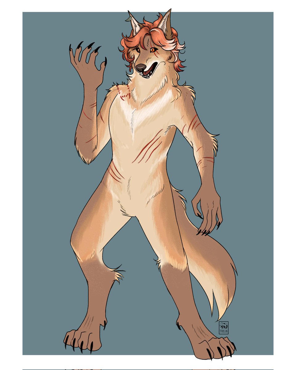Starting #WerewolfWednesday with a comm for the amazing <a href="/MaeveClymer/">…</a> 🐺🌕
#Werewolf #wolf #furry #TF #dndart