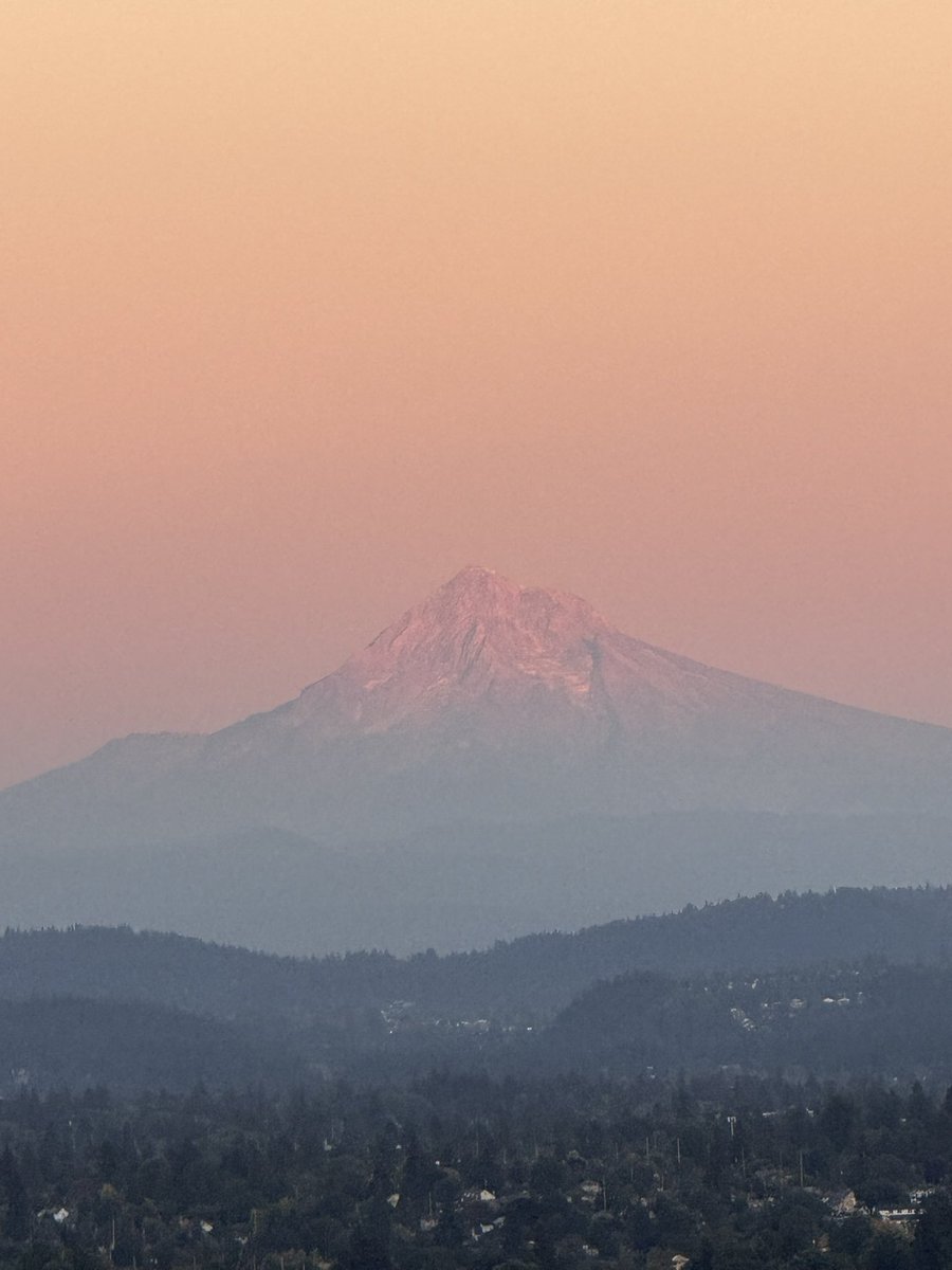 Danna Garcia M.D. tweet media