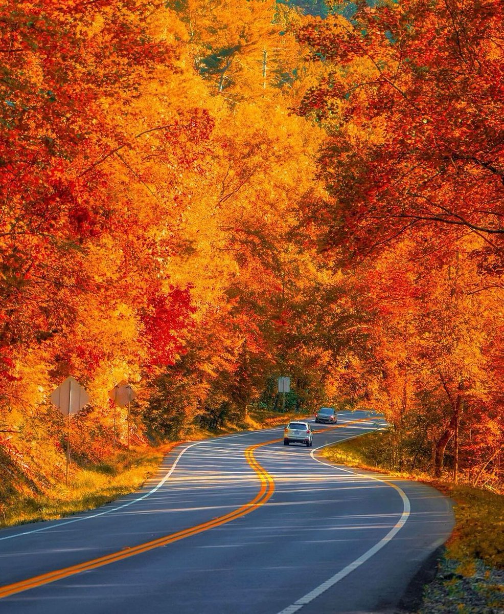 North Georgia Mountains🍂