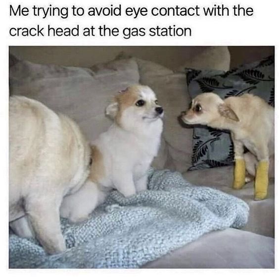 Awakeandseeing2's tweet photo. 🤣🤣🤣 https://t.co/LOG5U0AgJR