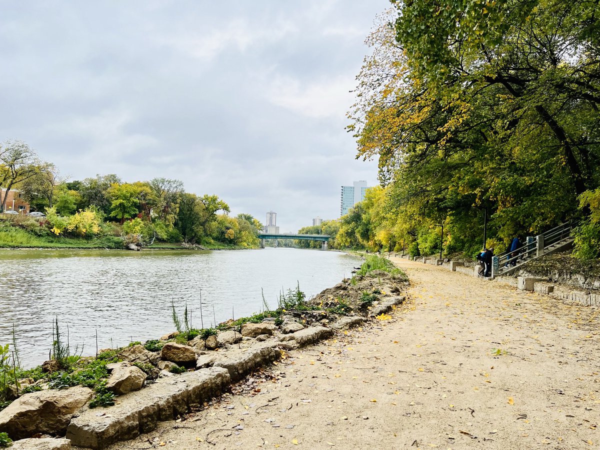 240 Tache tweet media